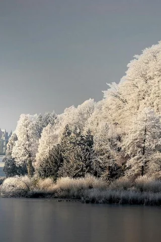 замок, зима, деревья, пейзаж