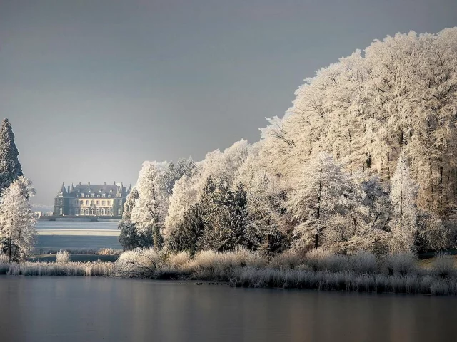 замок, зима, деревья, пейзаж
