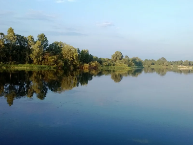 вода, лес