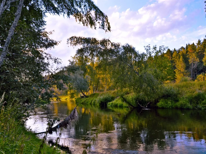 осень, сентябрь, пейзаж, речушка, деревья