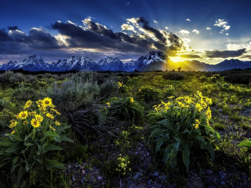 grand teton national park, rocky mountains, скалистые горы, wyoming