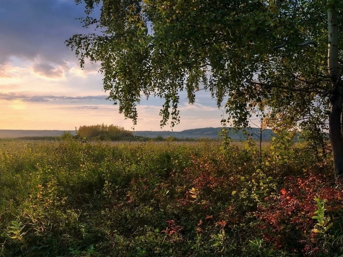 закат, осень