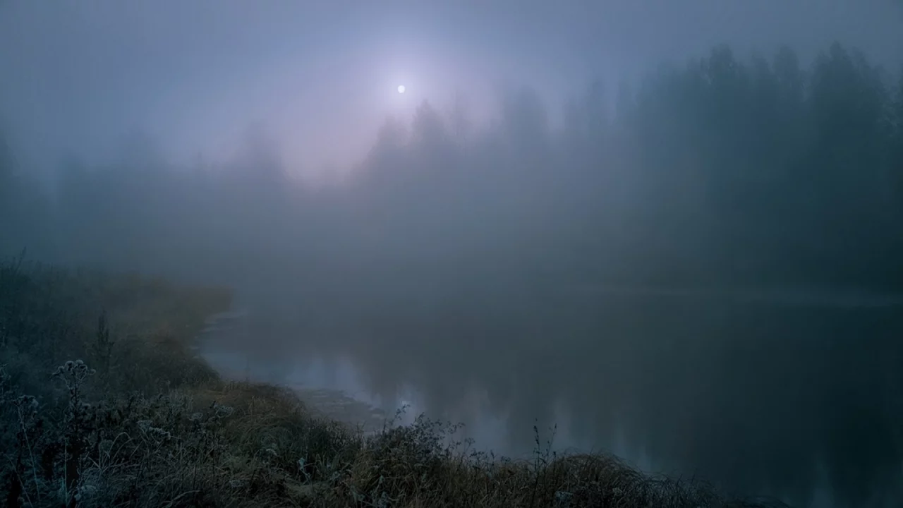 туман, река, осень