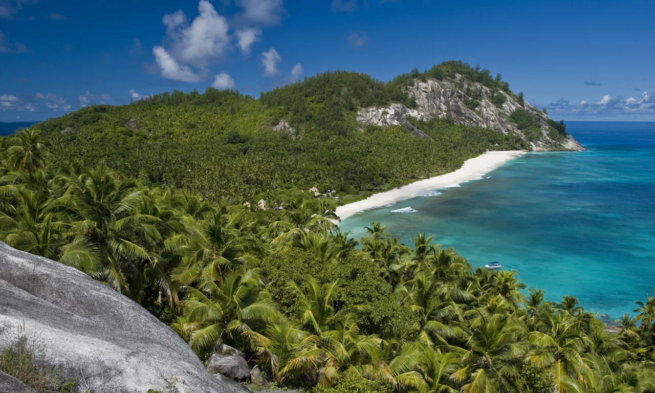 солнце, отдых, beach, океан, пальмы, seyshelles, nord island, palms, лето