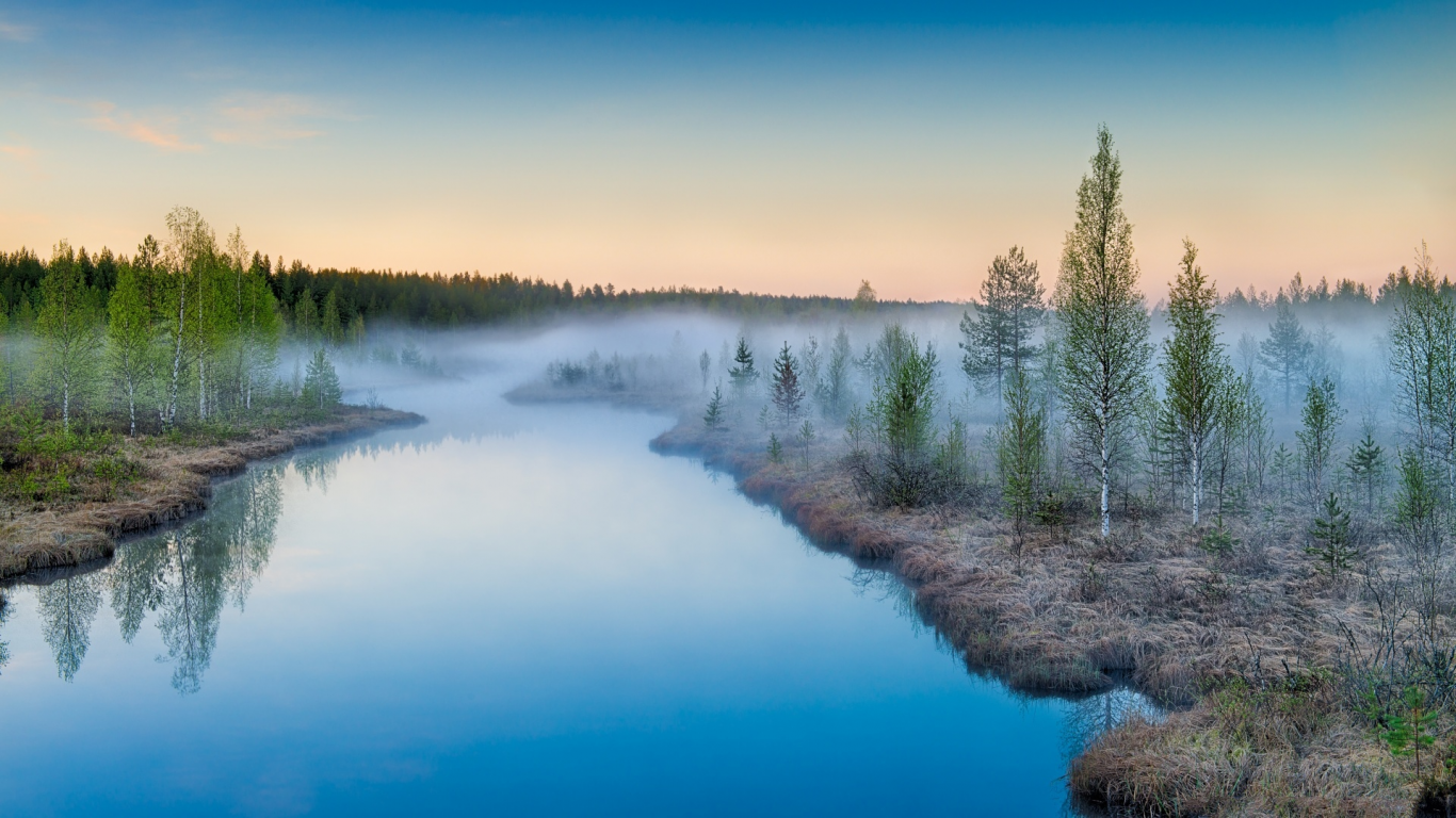 березы, озеро, туман, природа, лес