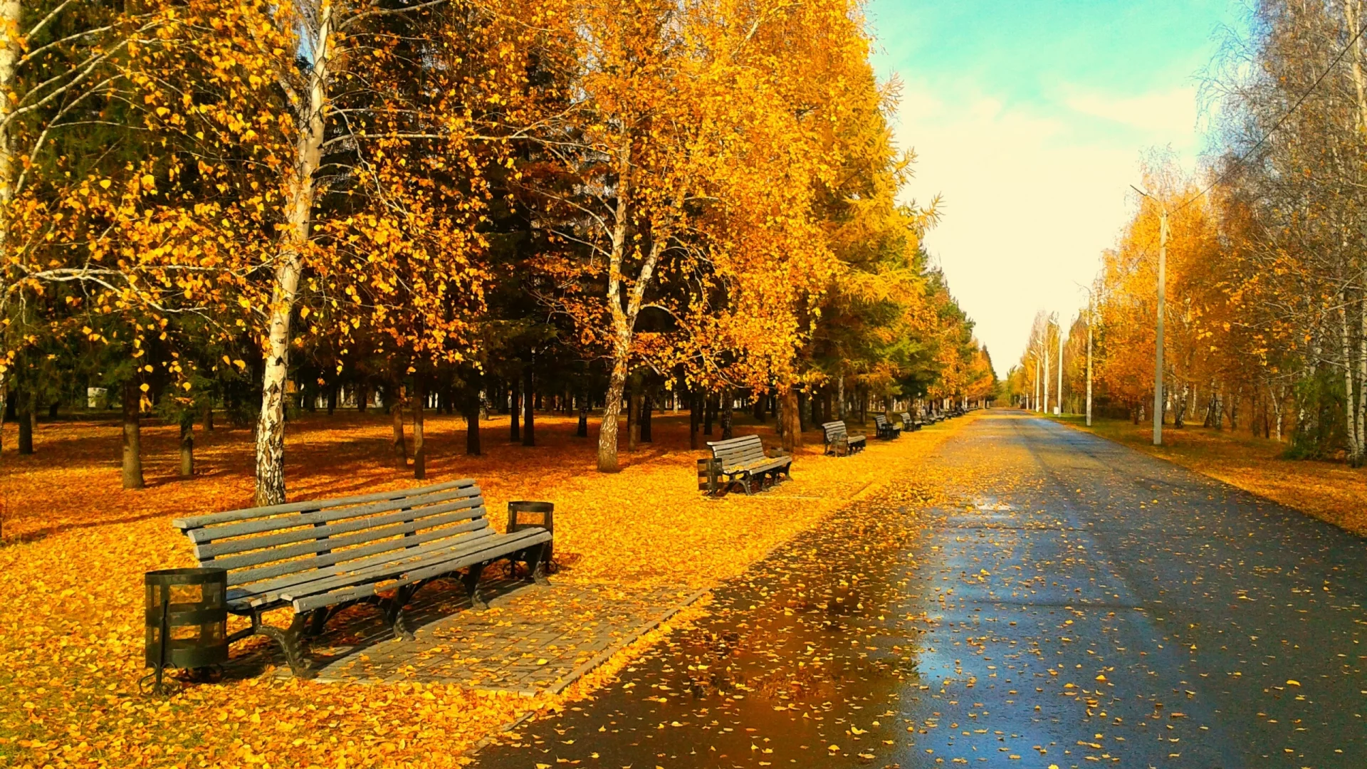 вечер , листва, листья, парк , вечер, скамейка
