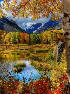 природа, лес, горы, красиво, пруд