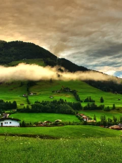 холмы, трава, деревья, луга, лето, дома, небо, пейзаж