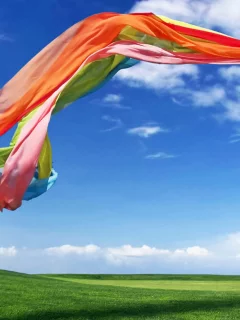 девушка, майка, шарф