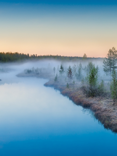 березы, озеро, туман, природа, лес