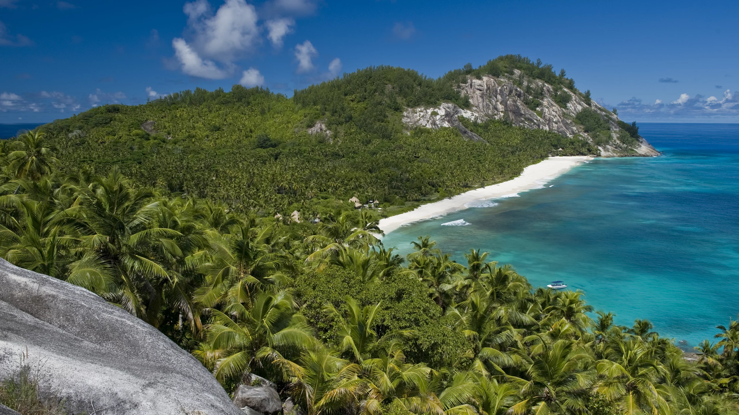солнце, отдых, beach, океан, пальмы, seyshelles, nord island, palms, лето