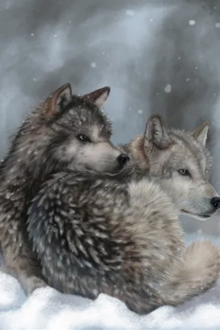 снег, арт, лежа, зима, волки