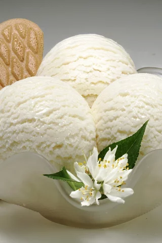 sweet, ice cream, dessert, цветы, мороженое, сладкое, десерт