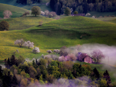 туман, весна, деревья, холмы, дома