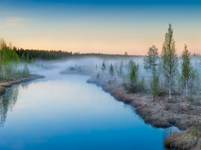 березы, озеро, туман, природа, лес