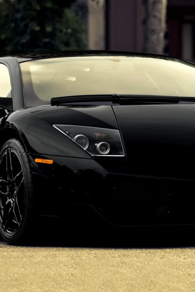 автомобиль, murcielago, lp670-4, sv, ламборгини, lamborgini, car, black