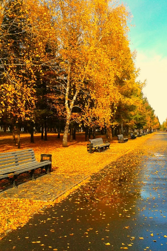 вечер , листва, листья, парк , вечер, скамейка