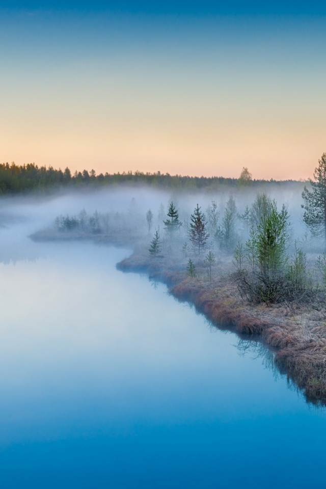 березы, озеро, туман, природа, лес