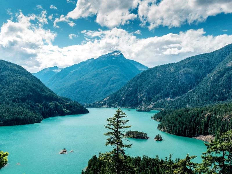 США, Ross Lake, Washington, озеро, лес, горы, скалы, деревья, небо, облака
