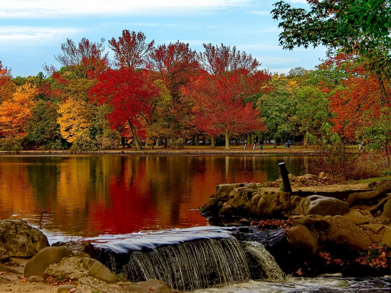 Belmont Lake, Belmont Lake State Park, Babylon, New York, Озеро Белмонт, Вавилон, штат Нью-Йорк, парк, осень, озеро, деревья
