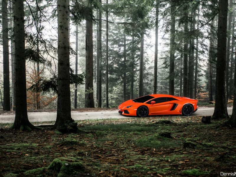 лес, свет, lamborghini, aventador
