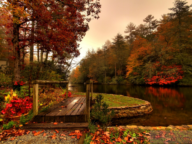 осень, лес, мостик, река