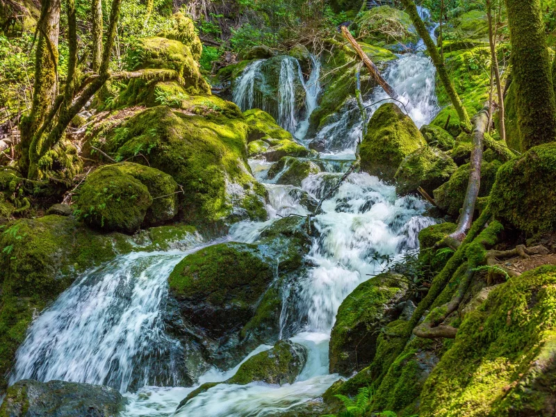 лес, ручей, водопад, камни, мох, зелень