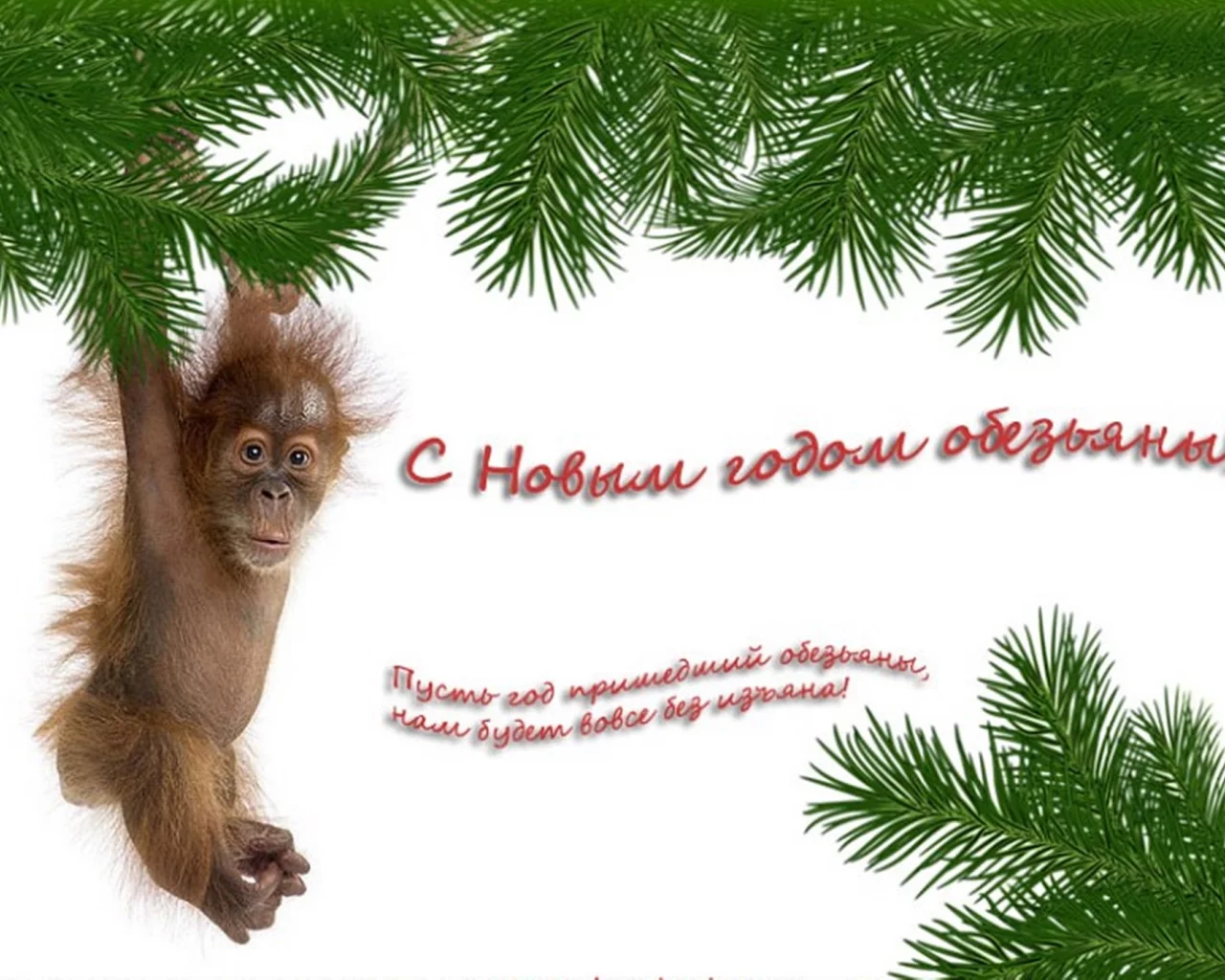 н..год, обезьяна, пожелание
