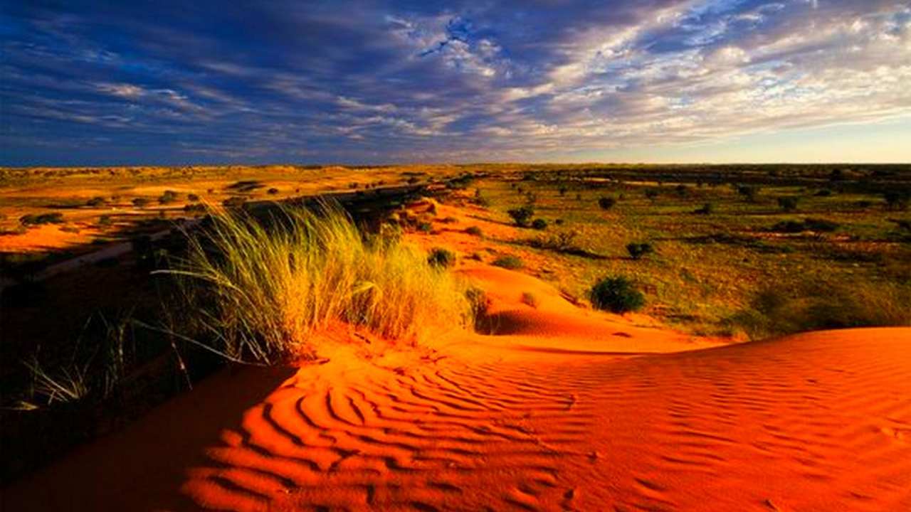 пустыня, оазис, песок