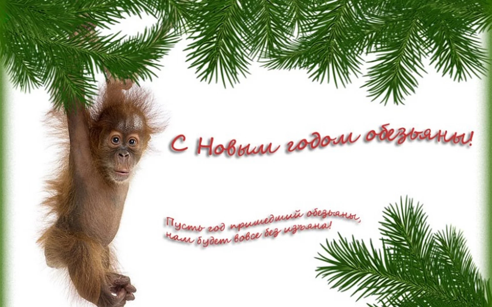н..год, обезьяна, пожелание
