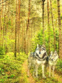 Лес, стиль, текстура, волки, природа, деревья