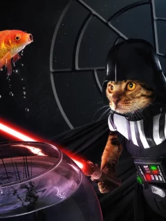 darth sushi, рыбка, кот