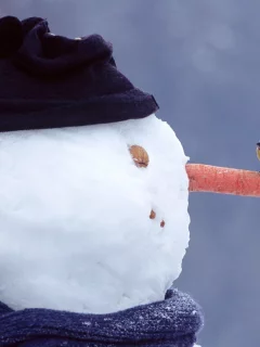 новый год, снеговик.