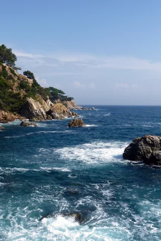 море, скалы, деревья