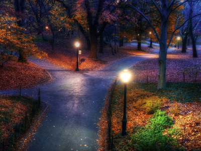 парк, фонари, осень, деревья, вечер, дорога