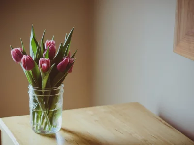 фиолетовые, цветочек, цветы, цветочки, flower, тюльпаны