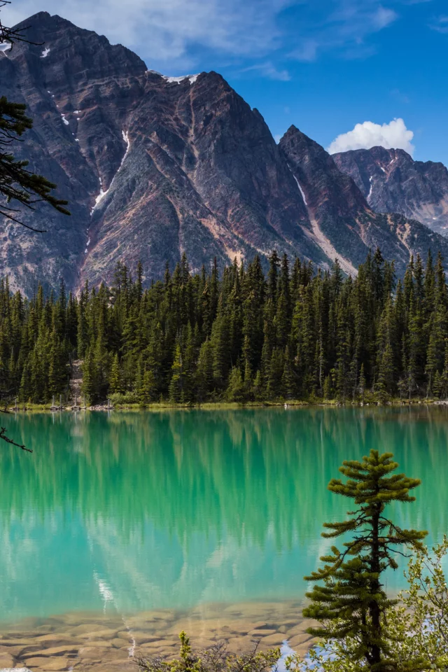 jasper national park, озеро кавелл, canada, cavell lake, alberta, rocky mountains