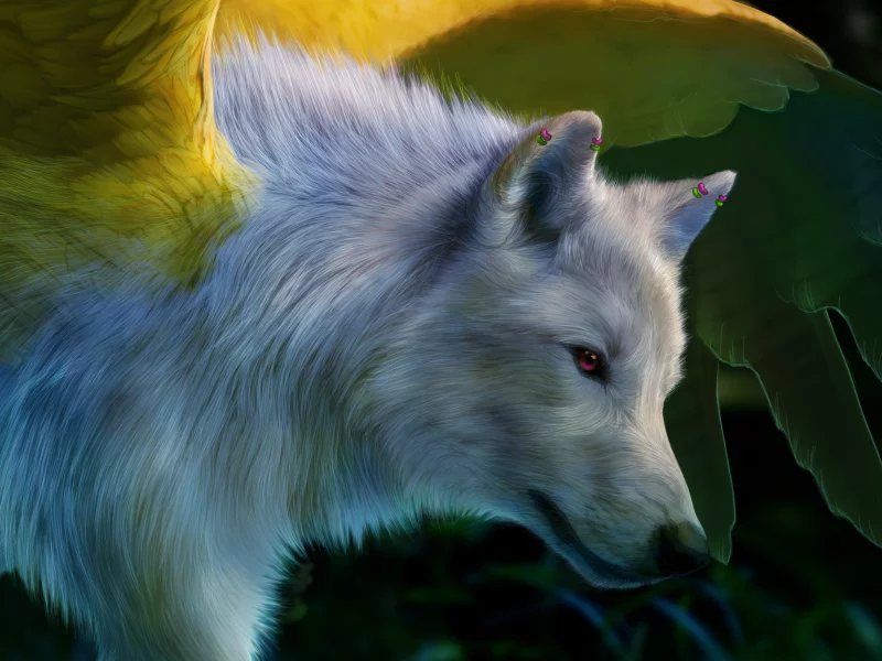 розовые глаза, novawuff, крылья, волк, art, белый