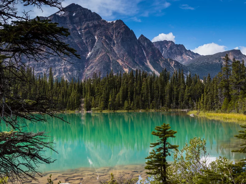 jasper national park, озеро кавелл, canada, cavell lake, alberta, rocky mountains