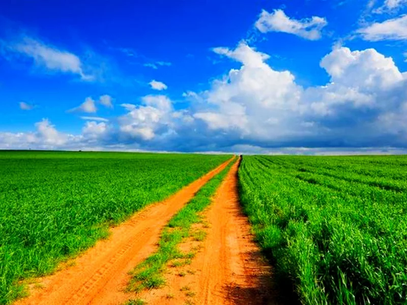 дорога, поле, облака, небо
