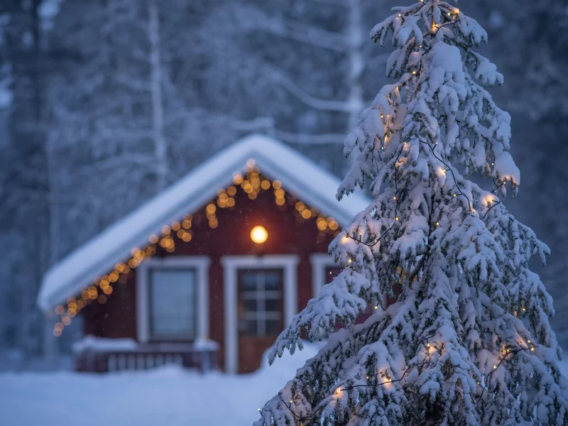 Lapland, Finland, Лапландия, Финляндия, ель, гирлянда, дом, зима
