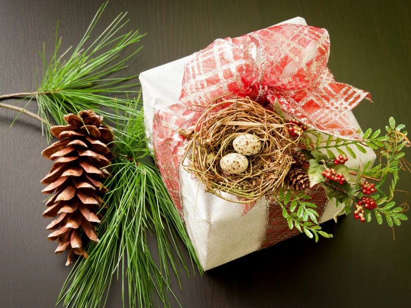 new year, рождество, christmas, новый год, подарок, праздники
