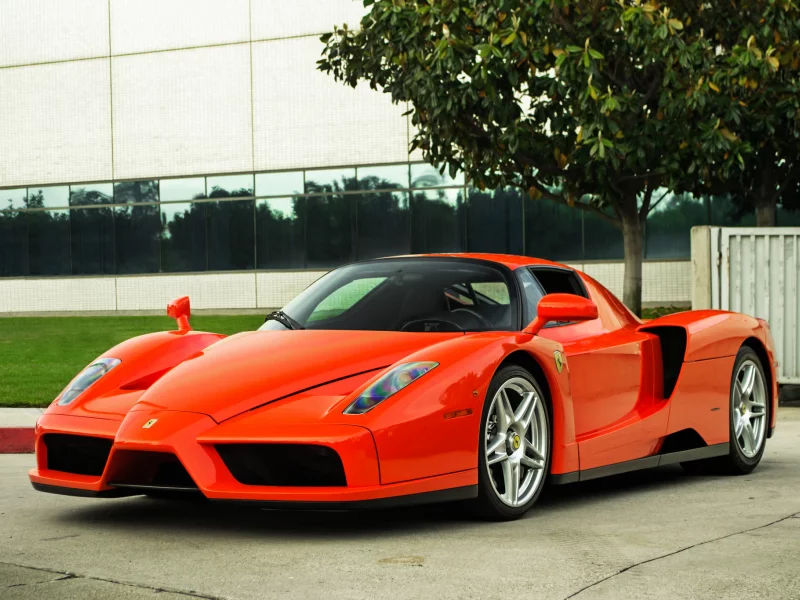 энцо, феррари, enzo, дерево, ferrari, вид спереди, красный, red