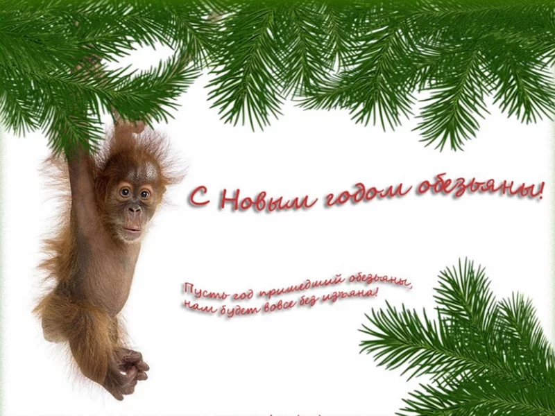 н..год, обезьяна, пожелание