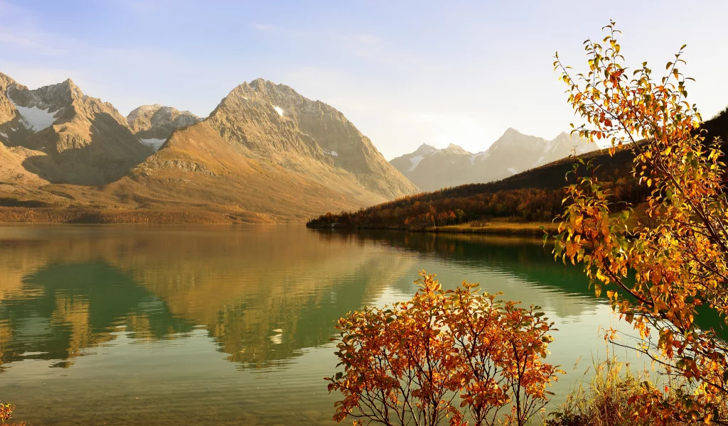кустарник, осень, лес, горы, залив, дерево