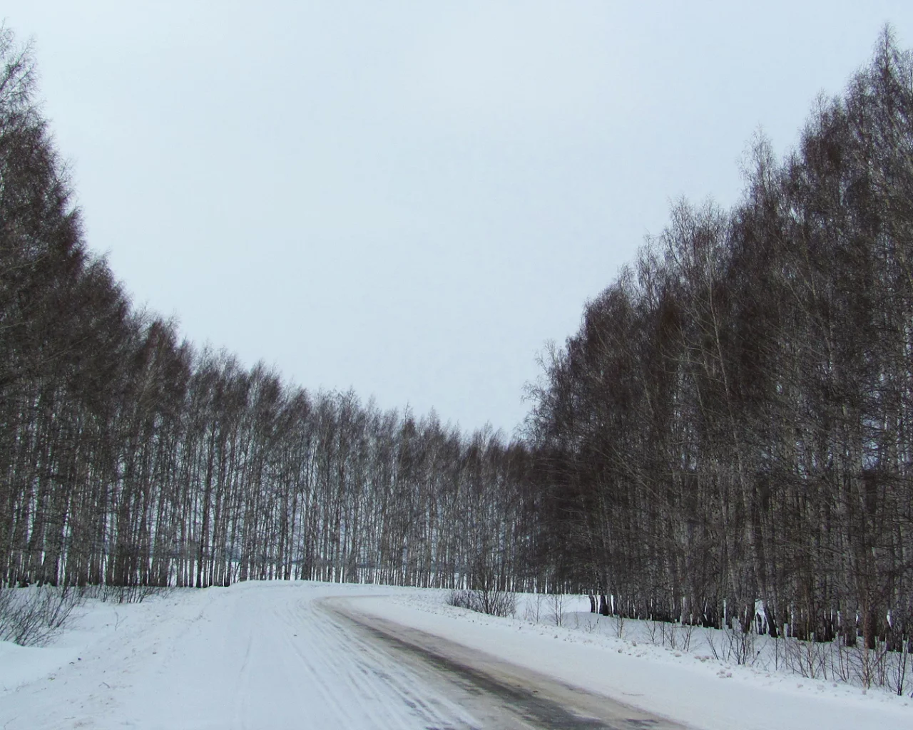 природа, деревья, дорога, зима, снег