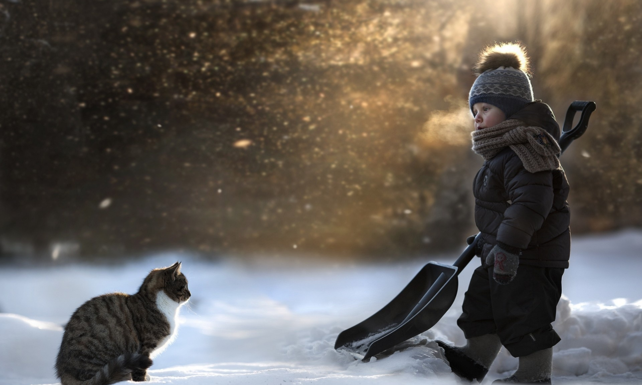 ребенок, совок, кошка, снег, лопата, мальчик, сугроб, мороз, зима, снегопад, шарф, варежки, валенки, уборка