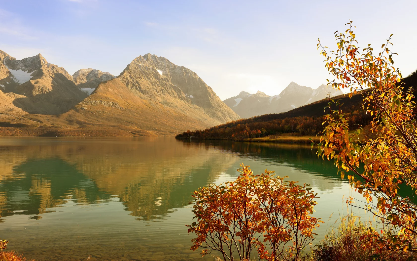кустарник, осень, лес, горы, залив, дерево