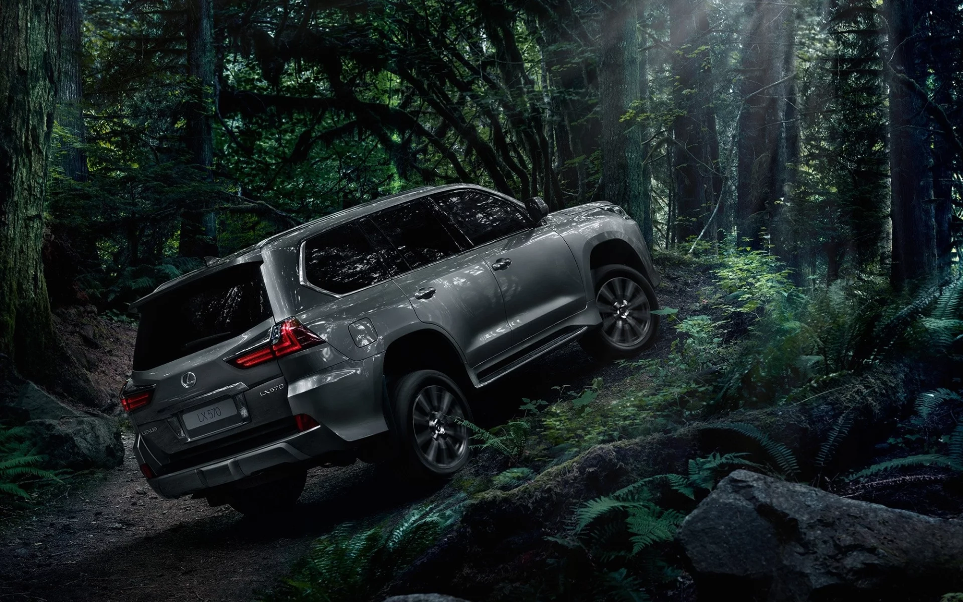 lexus, lx, 570, в лесу