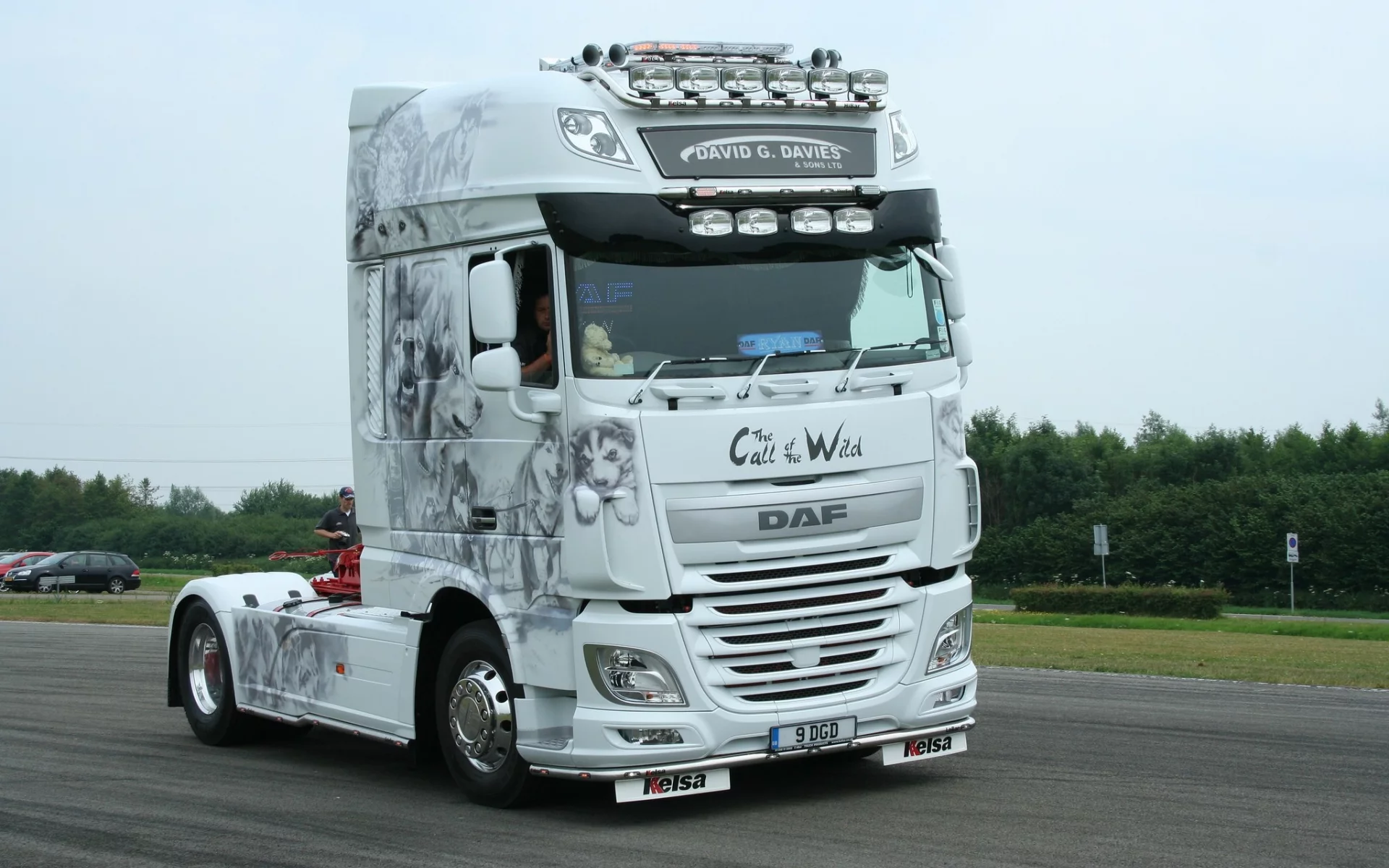 машины, daf